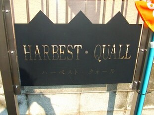 HARBEST・QUALLの物件内観写真